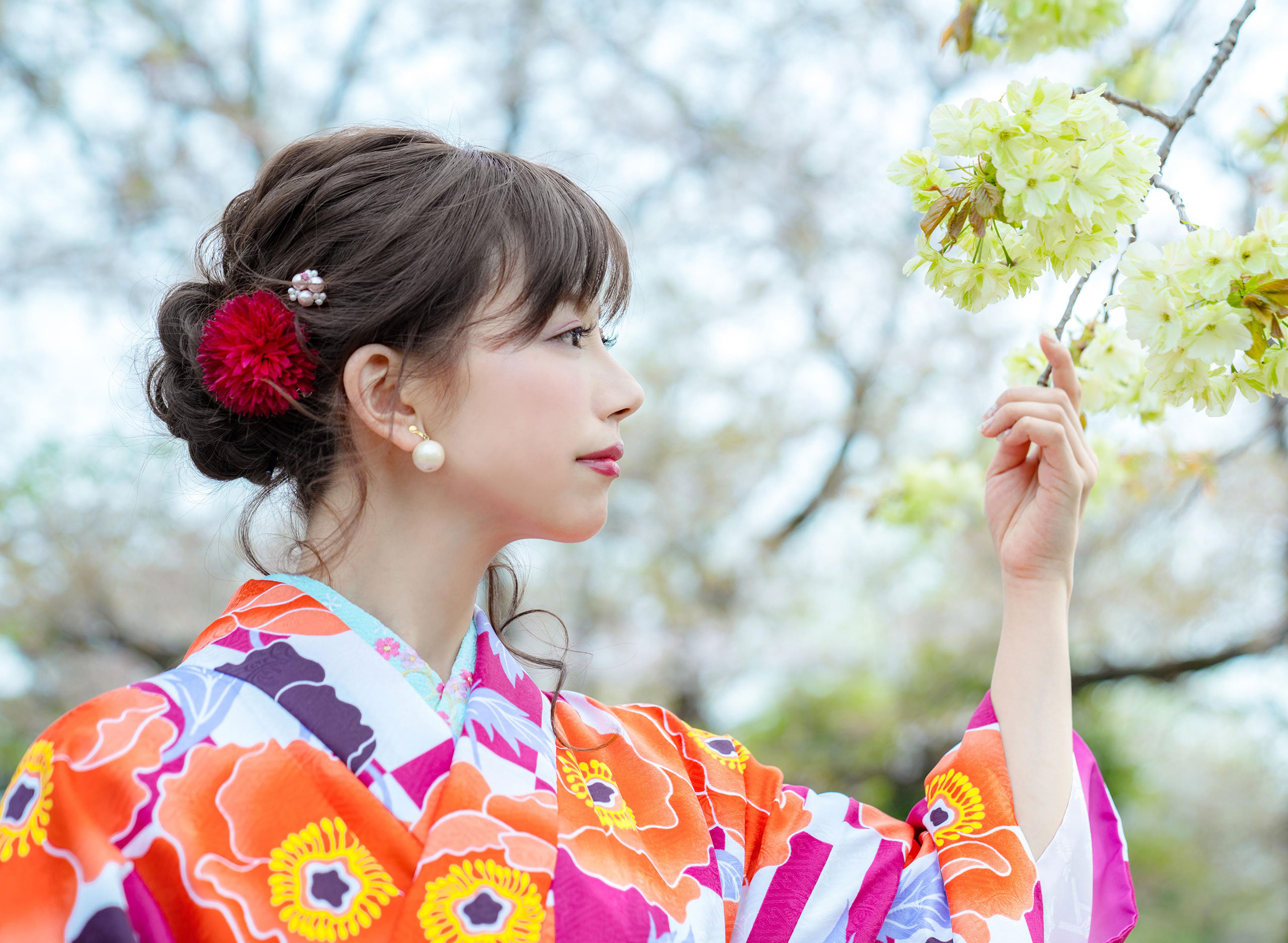 slide screen images 2